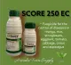 ✅SCORE 250EC Fungicide (250ml and 500ml). 