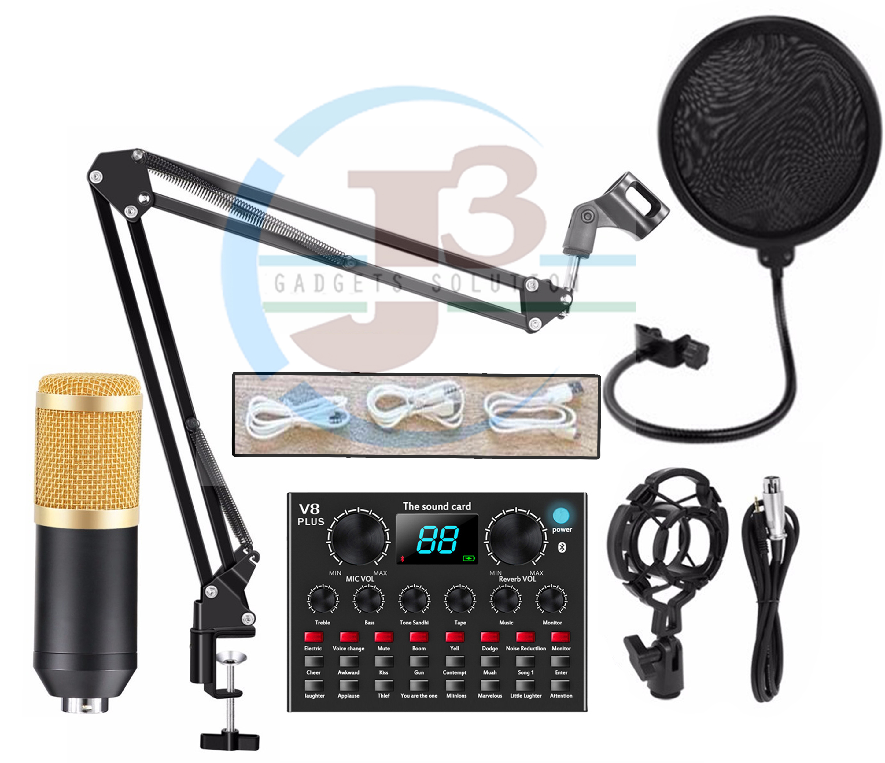 4.1 sound system mic in