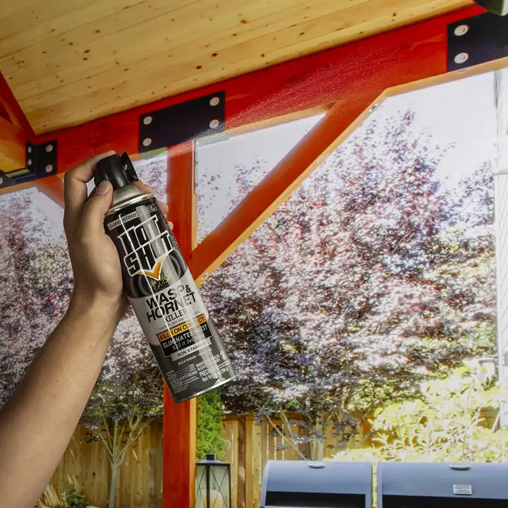 Hot Shot Wasp & Hornet Killer Spray Eliminates The Nest Kills On Contact Non Staining