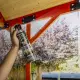 Hot Shot Wasp & Hornet Killer Spray Eliminates The Nest Kills On Contact Non Staining. 