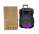 KTS-1666 15 inches Subwoofer Portable Wireless Karaoke Bluetooth Speaker with Wireless Mic. 