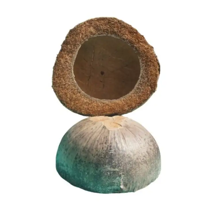 CFI Native Bunot Polisher (1 pc)
