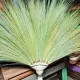 8-Fingers Walis Tambo   Jumbo Sizes   Native Rattan Collection  Innabaya Baguio Walis. 