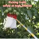 Fruit Picker Stainless Steel Adjustable Pole Artifact Telescopic Pole Fruit Picker High Altitude Fruit Picking Pole. 