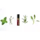 Immuno Pre-Diluted Essential Oil 10ml Roll-On; Ready to Use; 100% Pure and Natural; Diluted in Fractionated Coconut Oil. 