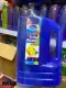 #621-W BPA FREE Star Home New 3 Liters Water Jug High-Quality Durable Handy Water Jug Colored. 