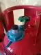 LPG REGULATOR FOR ROSCAS AND THREAD. 