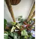 1ft Stackable - Sphagnum Moss Poles by Curated Plants. 
