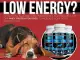 WHEY PROTEIN FOR DOGS: PROJECT FARM 2.2LBS. 