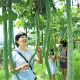 Chinese Snake Gourd Seeds Rare Organic Vegetable Seeds Python Snake Bean Seeds for Garden. 