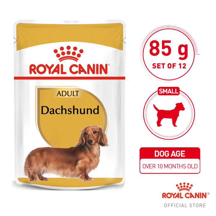 royal canin dachshund wet food