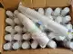 25pcs 8oz Styro Cups with neck - (NO HOLES/SLIT) for Hydroponics. 