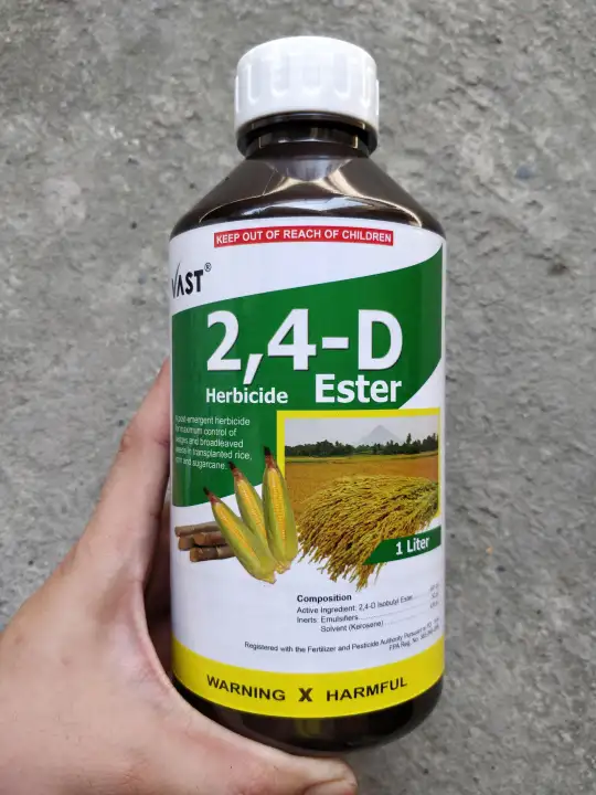 2 4 D Ester Herbicide For Kangkong Waterlily And Other Broad Leaves Sedges 1 Liter 24d Ester Vast Lazada Ph 2 4 D Ester Herbicide For Kangkong Waterlily And Other Broad Leaves Sedges 1 Liter 24d Ester Vast Lazada Ph