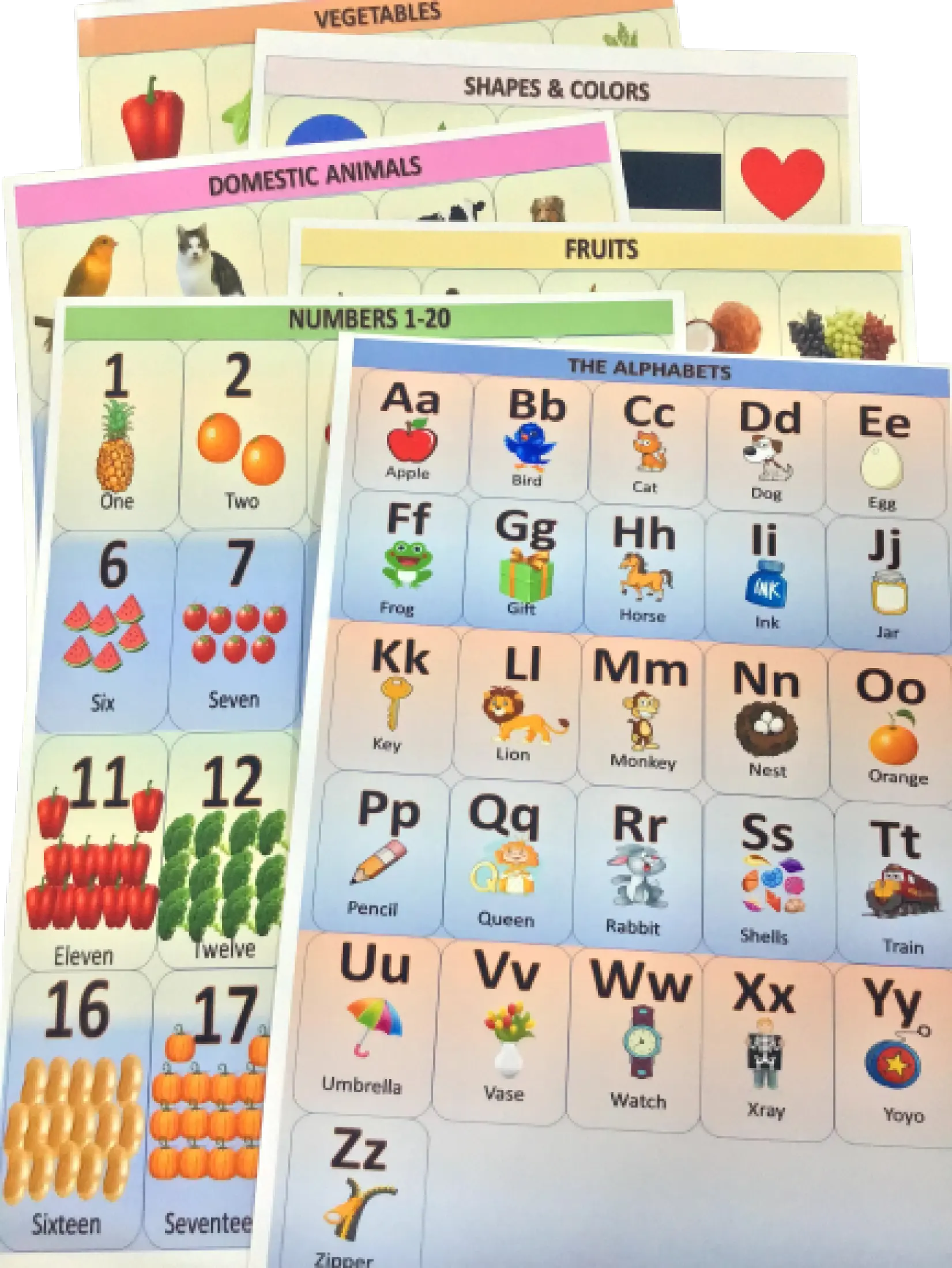 6 pcs educational laminated chart a4 size abc numbers animals fruits vegetables shapes colors lazada ph