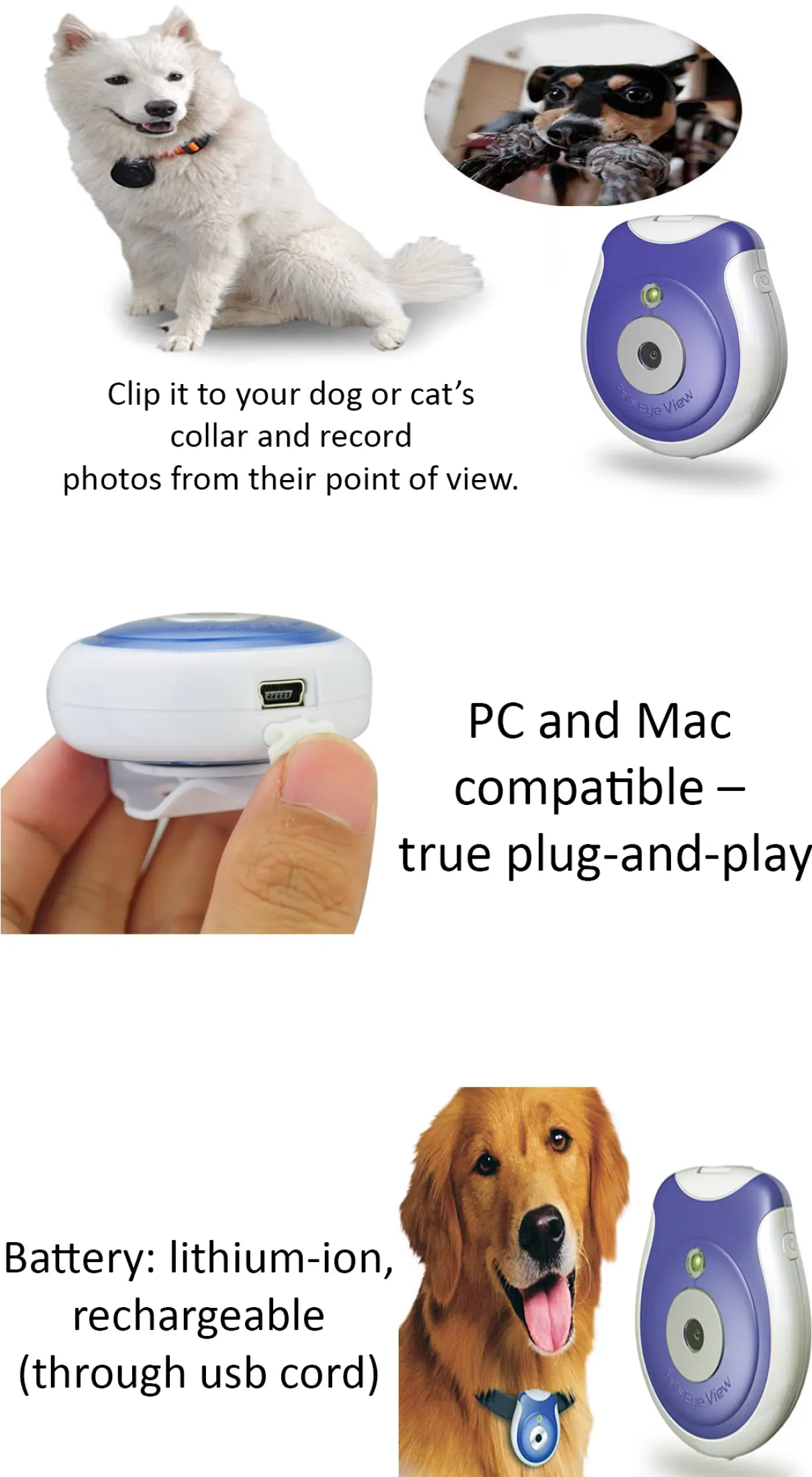 Digital Mini Pet Eye View Camera LatestGadget