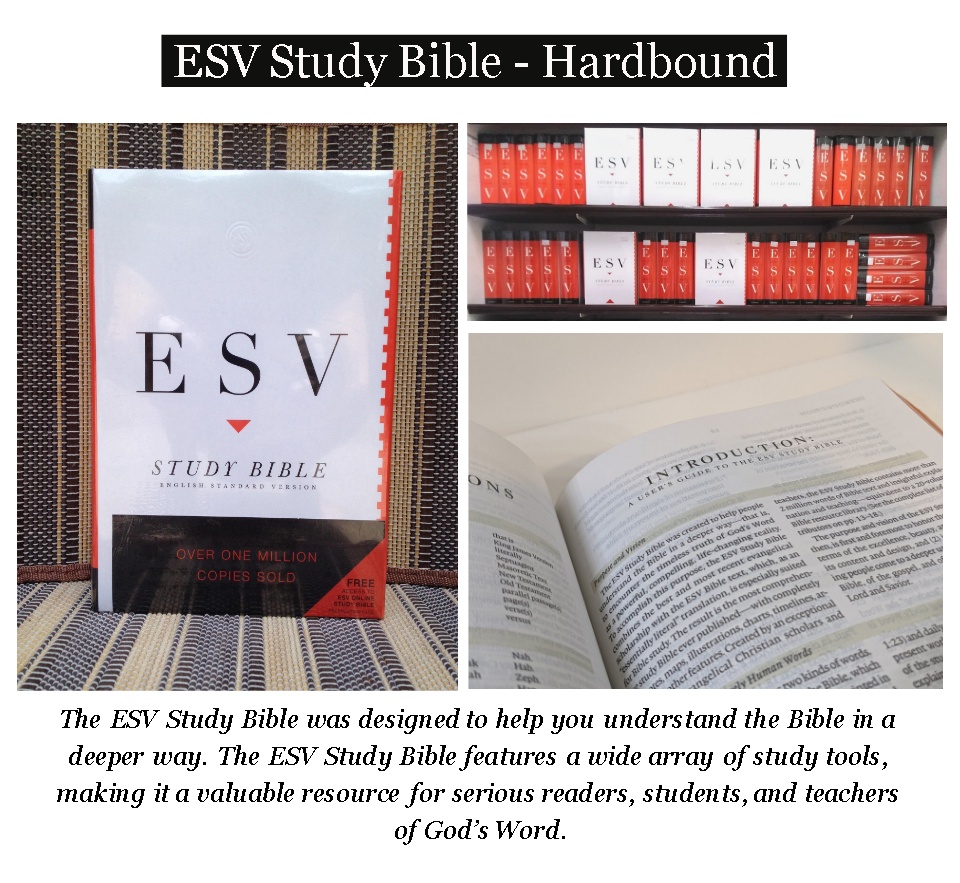 esv bible study