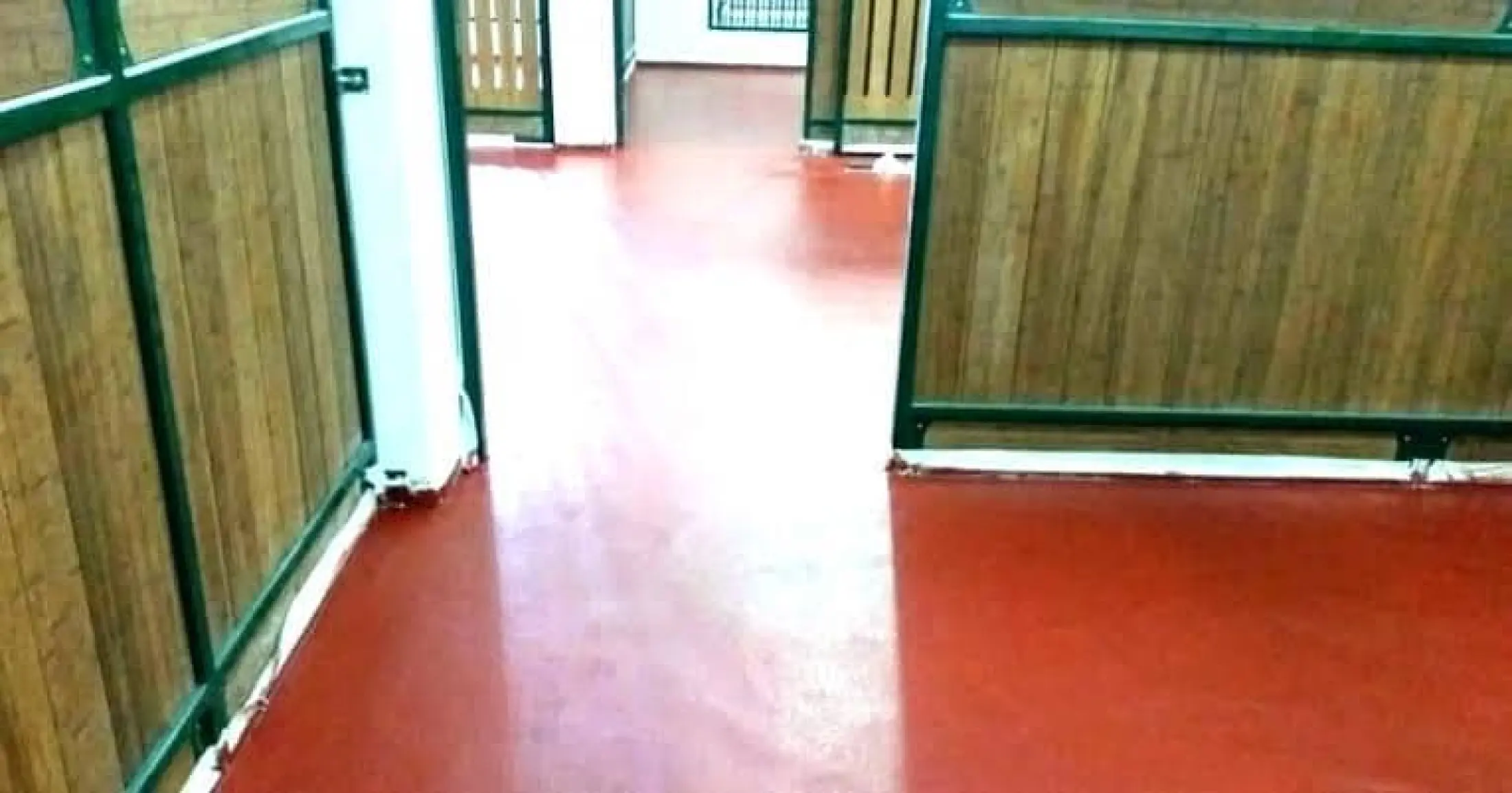 Floor Paint Rubberized Color Tile Red 4l Welcoat Lazada Ph Floor Paint Rubberized Color Tile Red